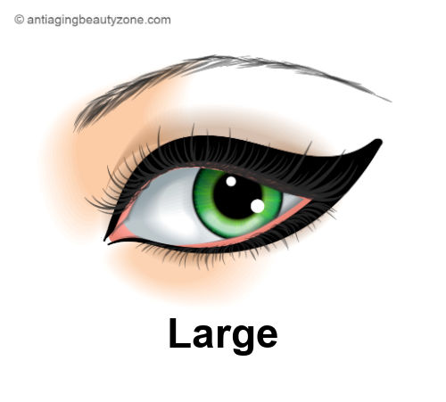 Large eyes.