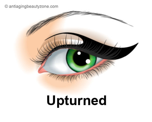Upturned Eye Shape.