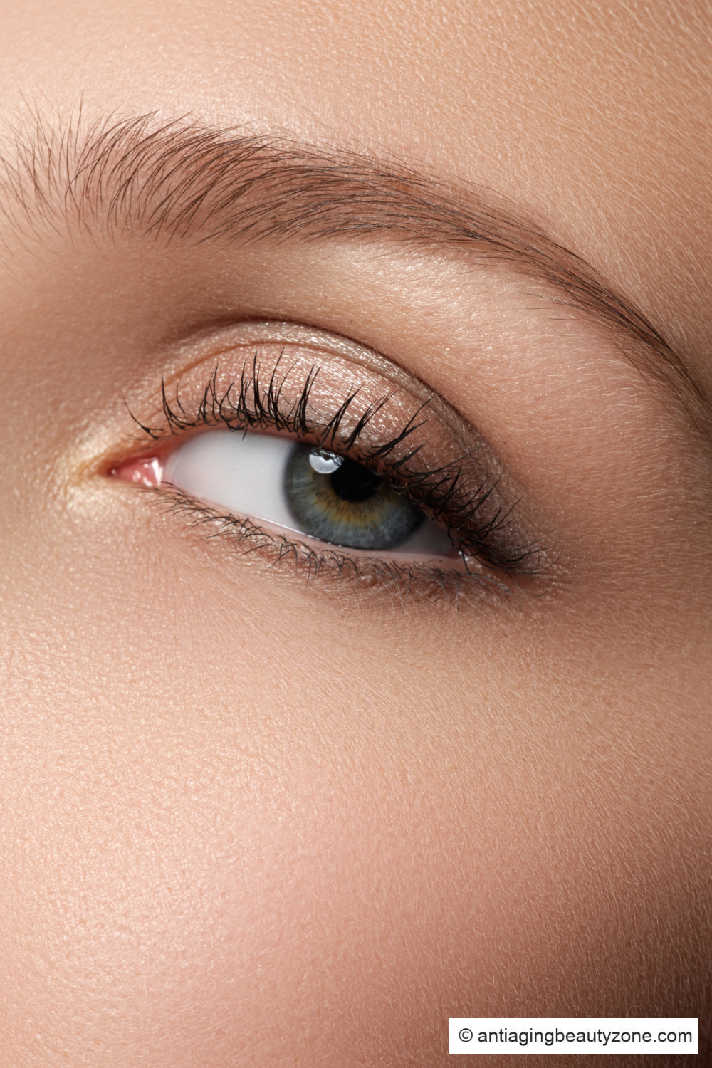 Soft golden eyeshadow on hooded eyes with no liner and curled lashes