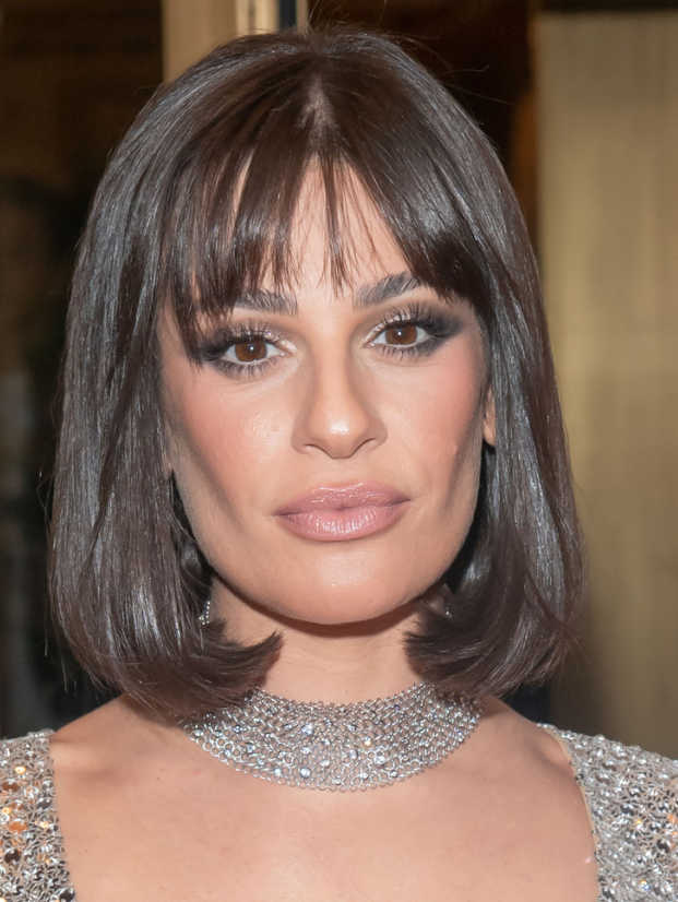 What is bitchectomy. Lea Michele speculation of buccal fat removal??