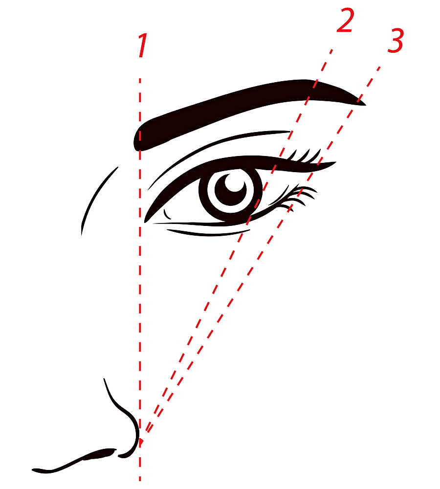 Eyebrow Makeup Ideas 3 Easy Options for Sparse Eyebrows Tri This