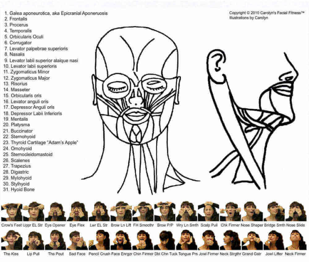 Facial Exercises Chart