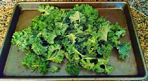 A try of raw kale to make kale chips. Kale chips for skin health