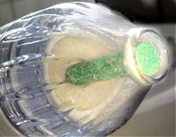 microdermabrasion vs chemical peel Close up picture of pmd microdermabrasion discs.
