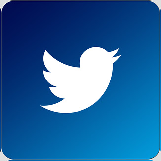 Twitter Button.